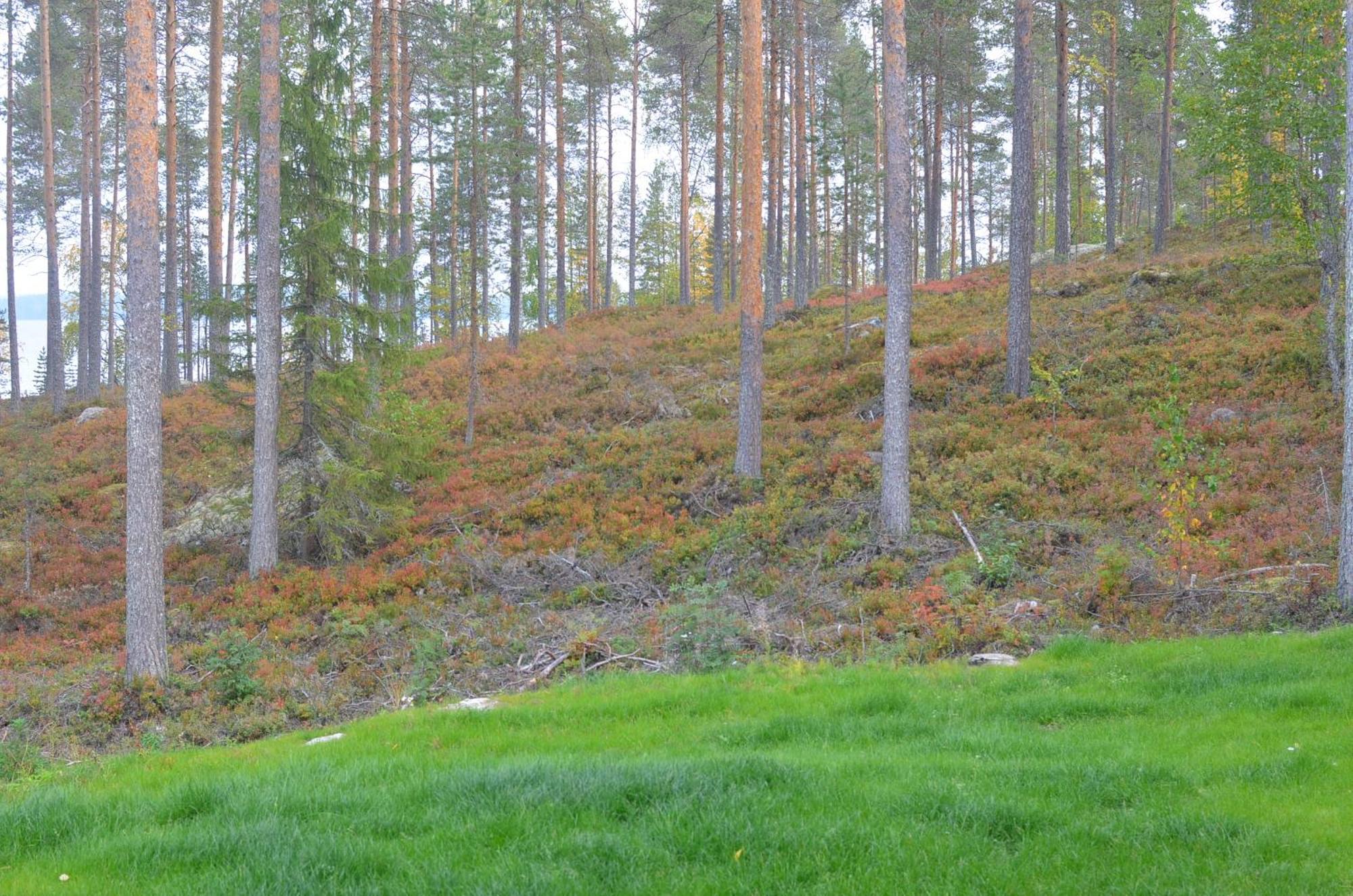 Kainiemen Huvilat Nurmes Kamer foto